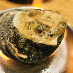 Turban shell sashimi (can be grilled) [live]