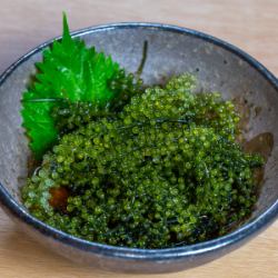 海ぶどう