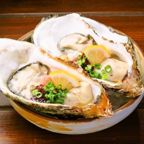 1 oyster with shell