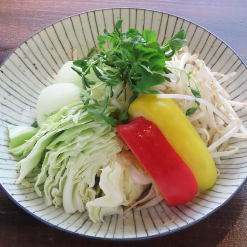 Assorted vegetables (bean sprouts, cabbage, etc.)