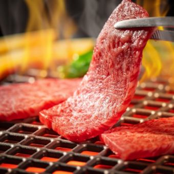 【お料理のみ】焼肉＆ホルモンコース4000円(税込)