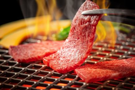 【お料理のみ】焼肉&ホルモンコース4000円(税込)