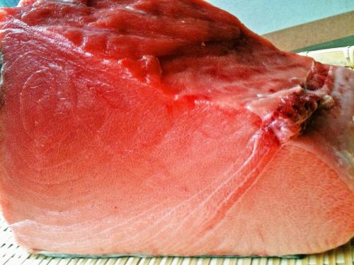 King of tuna [bluefin tuna] large fatty tuna