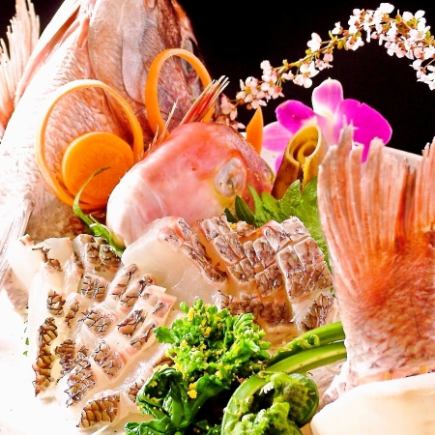 遠州灘海鮮地魚贅沢コース☆本マグロ甘鯛牛タンを味わう春爛漫プラン♪』【料理6000】