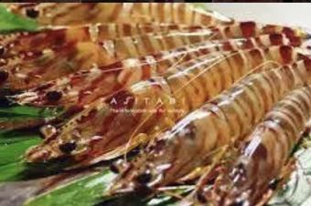 【活き車海老の踊り食い】腰が曲がるまで長生きできる、生命力に満ちた出世を願うめでたい海老!