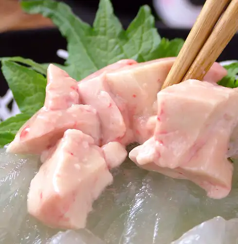 “黄金肝”鲜活丝鳍鱼！时令美味，绝佳！