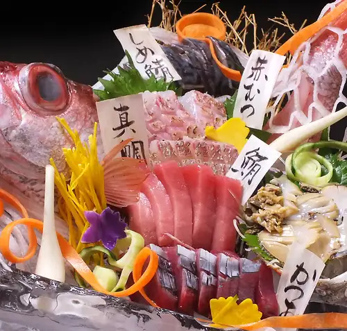 Because Maisaka Port is a "day-return fishing port" where fishermen go out to sea before dawn and auction their catches the same day, you can enjoy freshly caught local fish.