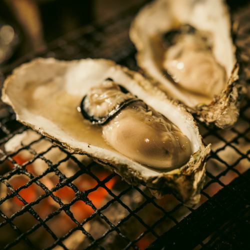 High freshness raw oysters from Hokkaido