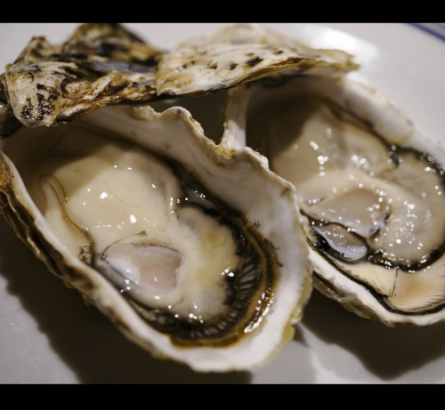 Raw oysters in shell, steamed oysters