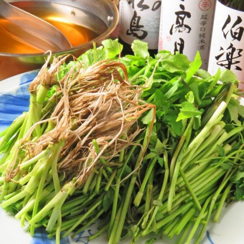 Sendai parsley hotpot (for 2 people or more)