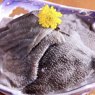 生センマイ