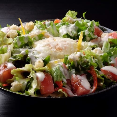 温玉シーザーサラダ/茶美豚と水菜のゴマドレサラダ/豆腐の和風サラダ　各種