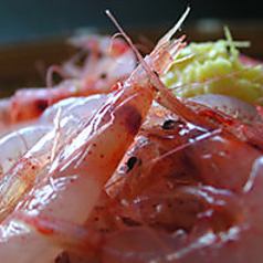 [Yui Sakura Shrimp] Sashimi
