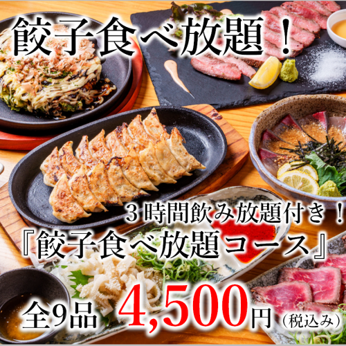餃子食べ放題コース♪