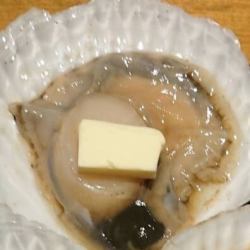 扇贝（1个）【超值价格】