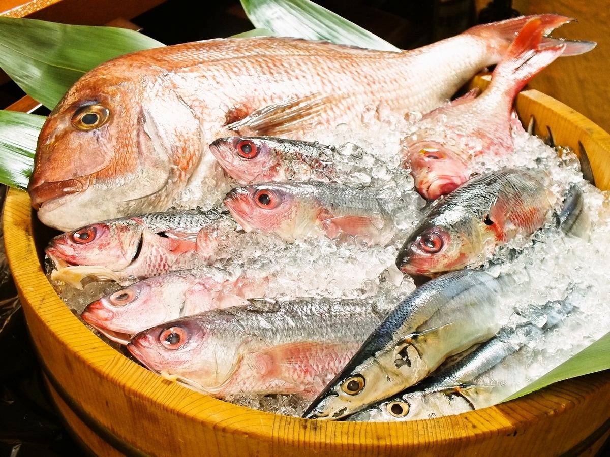 とれたて鮮魚のお造りも☆日によって内容が異なる三点盛/五点盛!