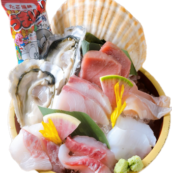 本マグロ中トロが入った刺身５種盛り合わせ