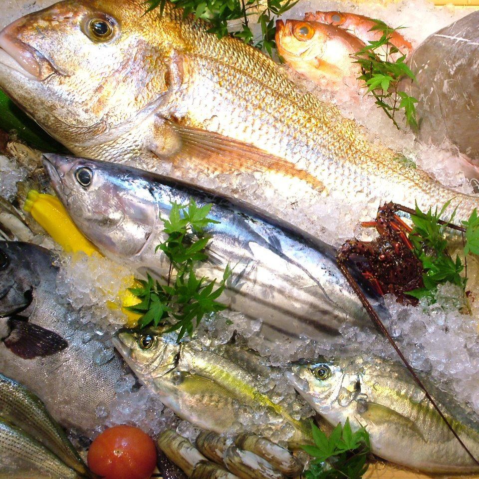 毎朝市場で仕入れる長崎の新鮮な魚介を使った刺身や寿司！