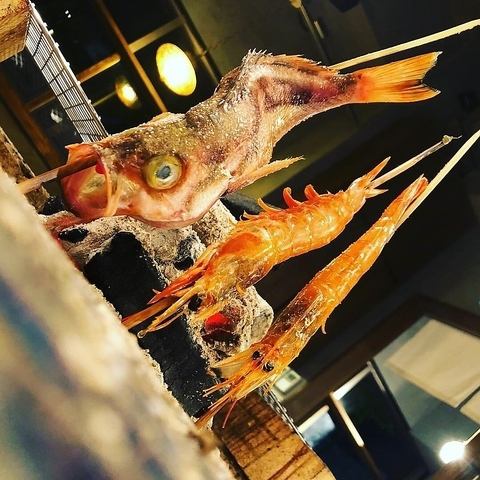 拘りの魚！沼津、相模湾