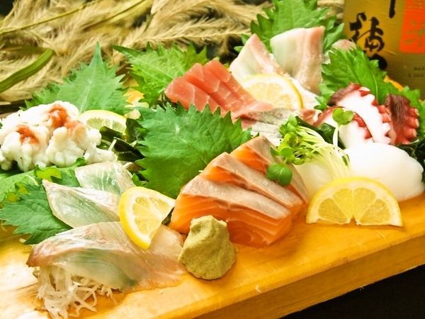 【心斎橋駅直結】毎日さばく新鮮魚をお手頃価格で堪能♪