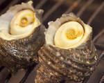 Grilled turban shell [1 piece]
