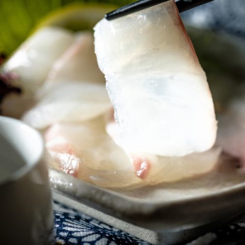 Sea bream sashimi