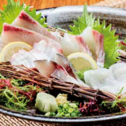 Assortment of 5 types of sashimi