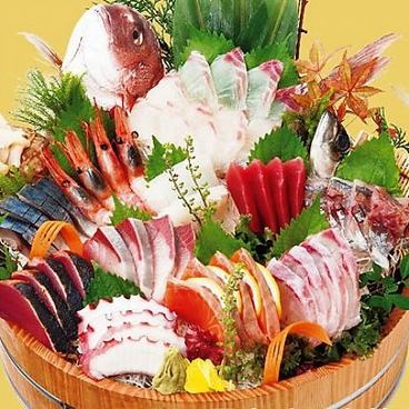 盡情享用美味的鮮魚吧！Shoya生魚片的份量十足♪