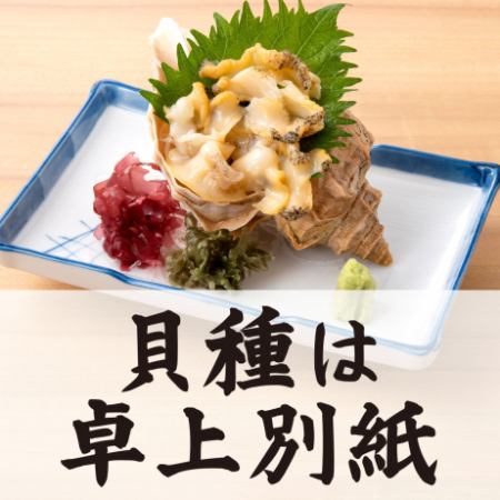 本日入荷 貝単品