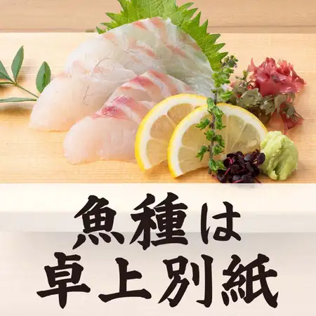 本日入荷 刺身単品