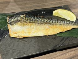 Toro Mackerel Menta