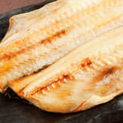 Oversized striped atka mackerel