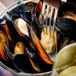 Mussels white wine steamed