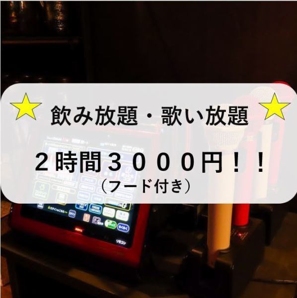 カラオケ歌い放題&2時間飲み放題付き♪『貸切ライトプラン』〈料理全4品〉3000円ポッキリ！
