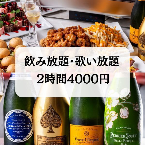 カラオケ歌い放題&2時間飲み放題付き♪『貸切ライトプラン』〈料理全4品〉4500円！