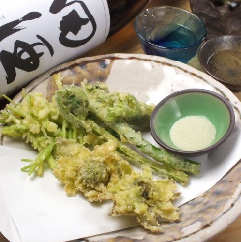 spring vegetable tempura
