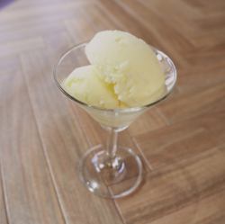 Smooth domestic yuzu sorbet