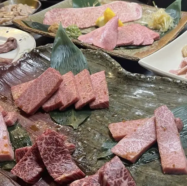「各種ご宴会」「記念日」などに 松の実本店の コースを 御堪能下さい！