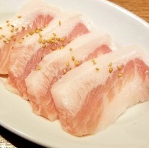 Swine Toro