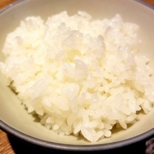 White rice (medium)