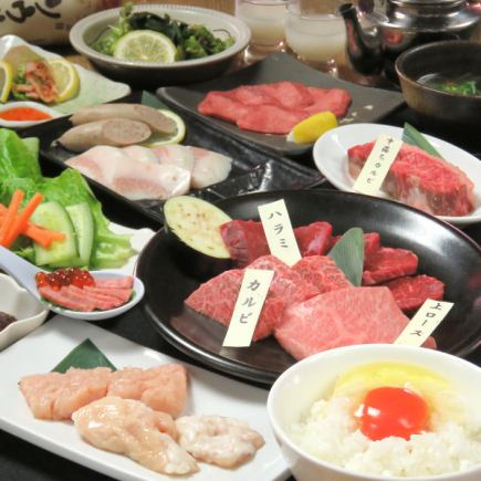 【包廂每日限兩組客人】歡迎單人用餐 ◎ 豪華16道菜套餐【僅餐點】5,000日元（含稅）