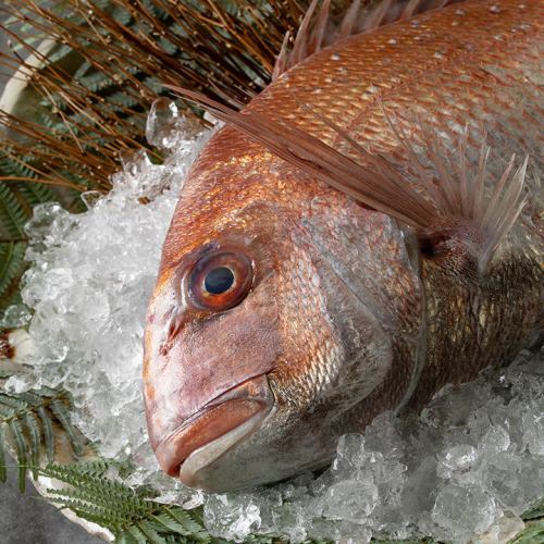 【旬の美味】“今が美味しい”旬の魚・野菜を使います