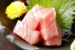 Bluefin tuna sashimi