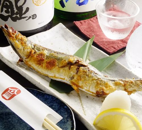 Grilled fresh saury with salt