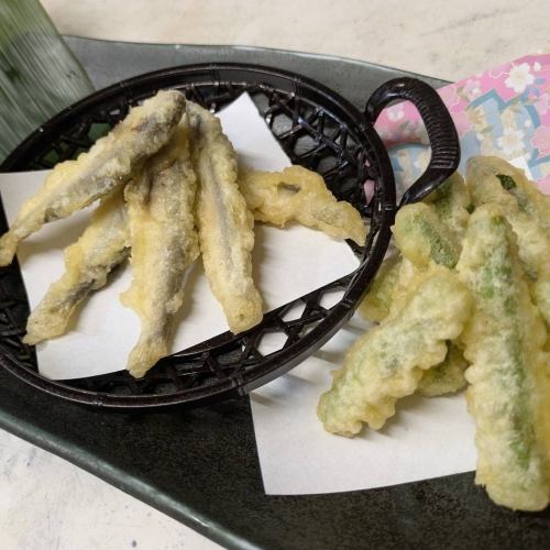 Tempura of young sweetfish and asparagus from Wakayama Prefecture