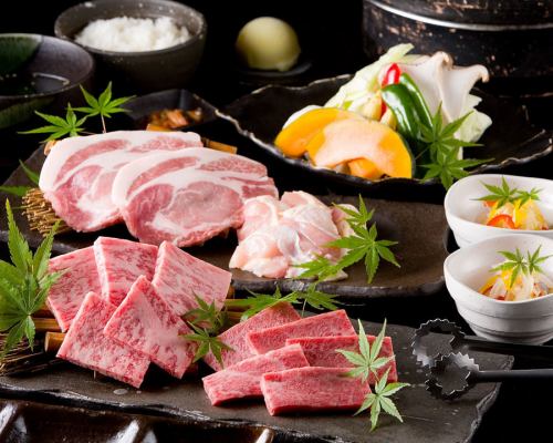 [Yakiniku] Special course