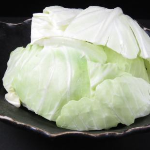 cabbage