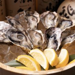 Fresh oysters delivered directly from the Harima Sea