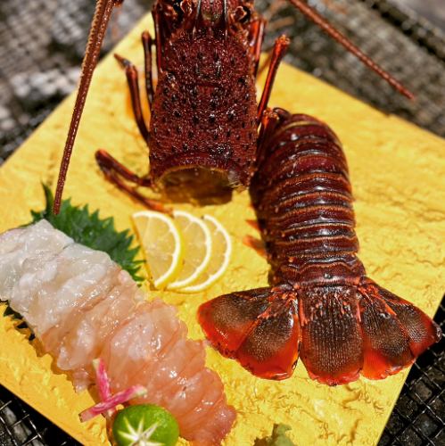 イセエビのお刺身