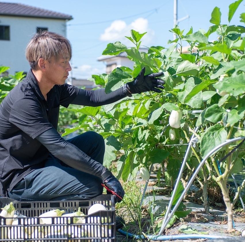 契約農家直送の新鮮野菜